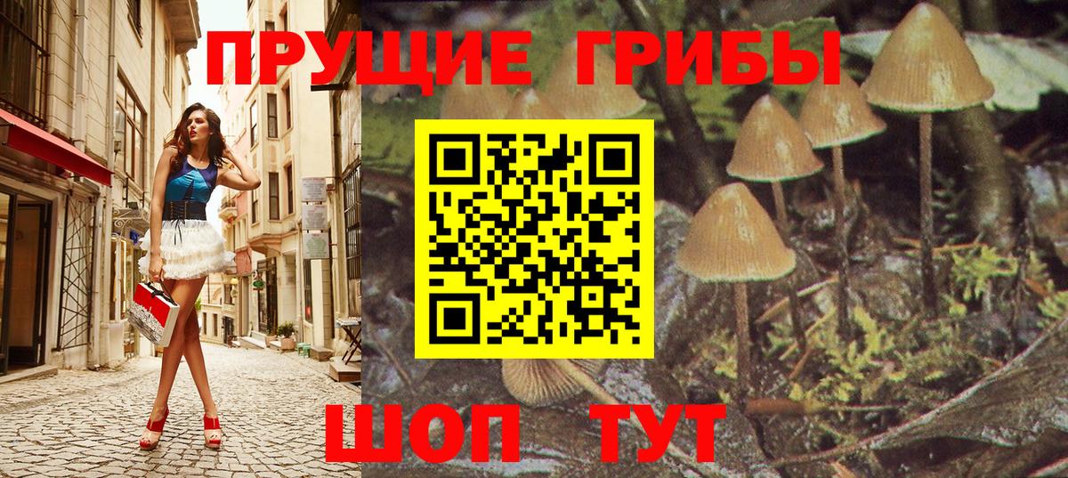 Видное  Псилоцибиновые грибы мухоморы  Галлюциногенные грибы Cubensis  Вход с VPN 