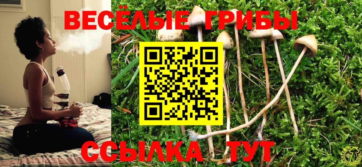 Галлюциногенные грибы прущие грибы Видное
